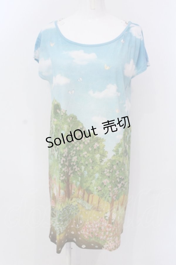 画像1: 【SALE】Franche Lippee / シークレットガーデンフレンチTシャツ M サックス O-25-04-17-050-LO-TO-IG-ZT045 (1)