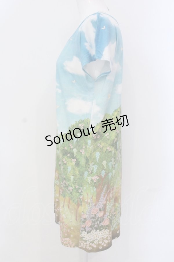 画像2: 【SALE】Franche Lippee / シークレットガーデンフレンチTシャツ M サックス O-25-04-17-050-LO-TO-IG-ZT045 (2)