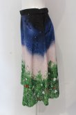 画像2: Franche Lippee / 野いちごスカート M クロ O-25-04-17-053-LO-SK-IG-ZT073 (2)
