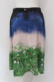 画像3: Franche Lippee / 野いちごスカート M クロ O-25-04-17-053-LO-SK-IG-ZT073 (3)