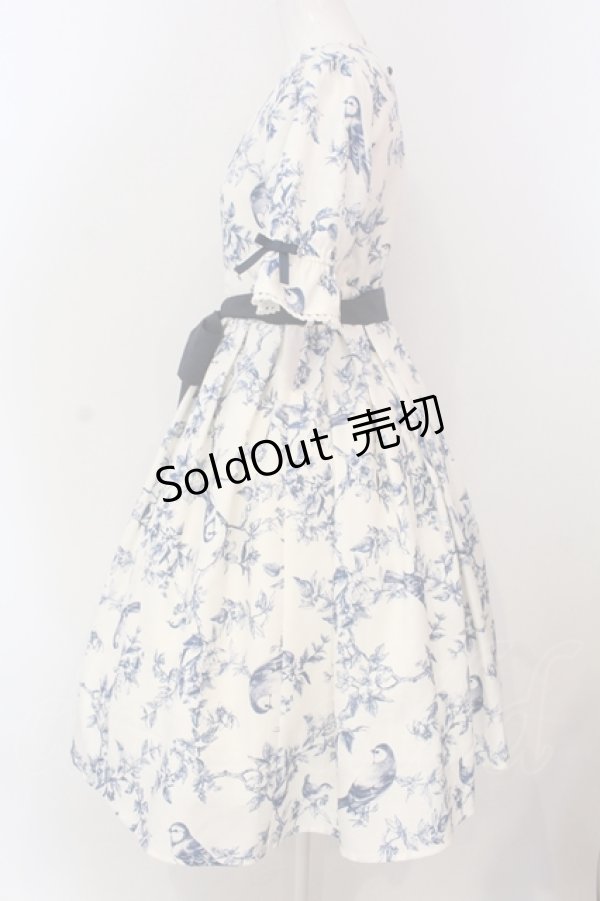 画像3: axes femme kawaii / カトルオワジヨンワンピース  シロ×アオ O-25-04-17-008-AX-OP-IG-OS (3)