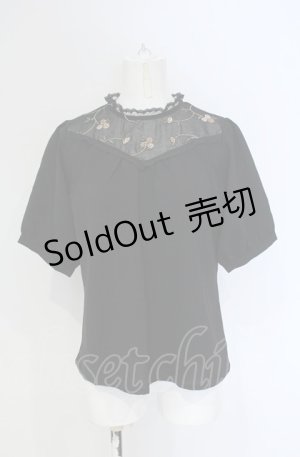 画像: Fi.n.t / ヨークローズ刺繍プルオーバーブラウス F クロ O-25-04-30-1122-CA-BL-OW-OS