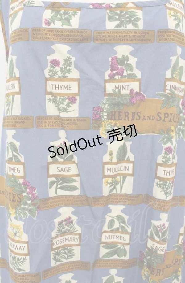画像2: Jane Marple Dans Le Salon / Herbs&Spicesエプロンドレス M ブルー O-25-04-30-2075-JM-OP-IG-OS (2)