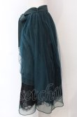 画像3: axes femme POETIQUE / バックフリルチュールスカート  グリーン O-25-04-30-2184-AX-SK-IG-OS (3)