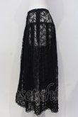 画像3: KANEKO ISAO / はしごレース使い刺繍レーススカート  クロ O-25-05-05-029-EL-SK-OW-OS (3)