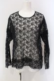 画像1: KANEKO ISAO / はしごレース使い刺繍レースブラウス  クロ O-25-05-05-030-EL-BL-OW-OS (1)