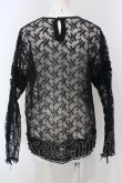 画像4: KANEKO ISAO / はしごレース使い刺繍レースブラウス  クロ O-25-05-05-030-EL-BL-OW-OS (4)