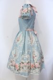 画像4: R-SERIES（海外ロリィタ） / Unicorn Garden ワンピース M サックス O-25-05-05-015-LO-OP-IG-OS (4)