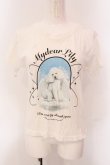 画像1: Candy Stripper / MY DEAR LILY Tシャツ 1 ホワイト O-25-05-08-051-PU-TS-IG-OS (1)