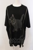 画像1: Candy Stripper / ANARCHY KITTEN BIG Tシャツ 2 ブラック O-25-05-15-079-PU-TS-YM-OS (1)