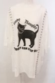画像1: Candy Stripper / NOBODY CAN STOP ME Tシャツ 2 ホワイト O-25-05-15-080-PU-TS-YM-OS (1)