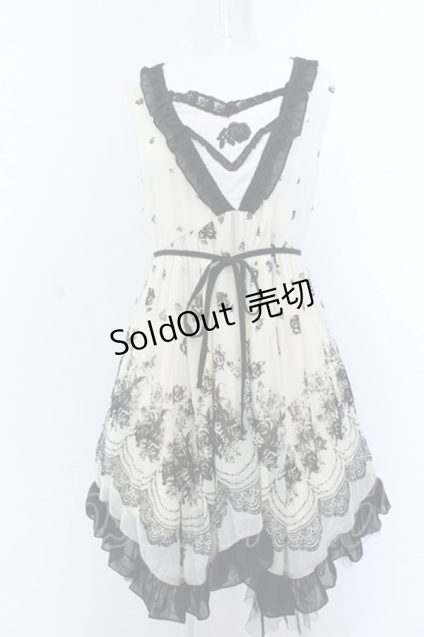 画像1: axes femme / チュールフロッキー切替ワンピース M キナリ O-25-05-18-074-AX-OP-OW-OS (1)