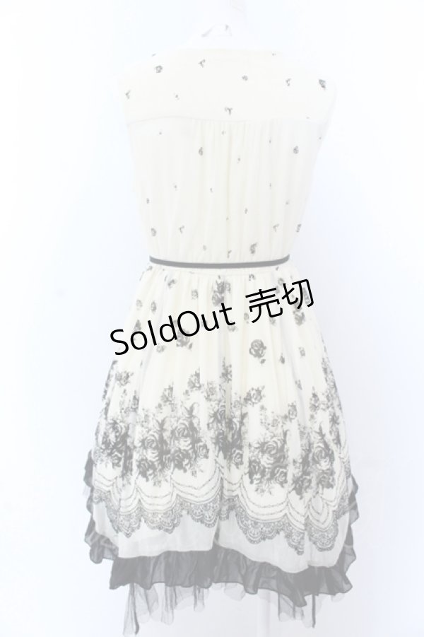 画像3: axes femme / チュールフロッキー切替ワンピース M キナリ O-25-05-18-074-AX-OP-OW-OS (3)