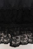 画像2: axes femme / 裾薔薇レース使いペチスカート M クロ O-25-05-19-017-AX-SK-OW-OS (2)