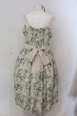 画像4: Forest Wardrobe / 森林の休日ジャンパースカート 2XL 緑花花 O-25-05-26-033-LO-OP-YM-OS (4)