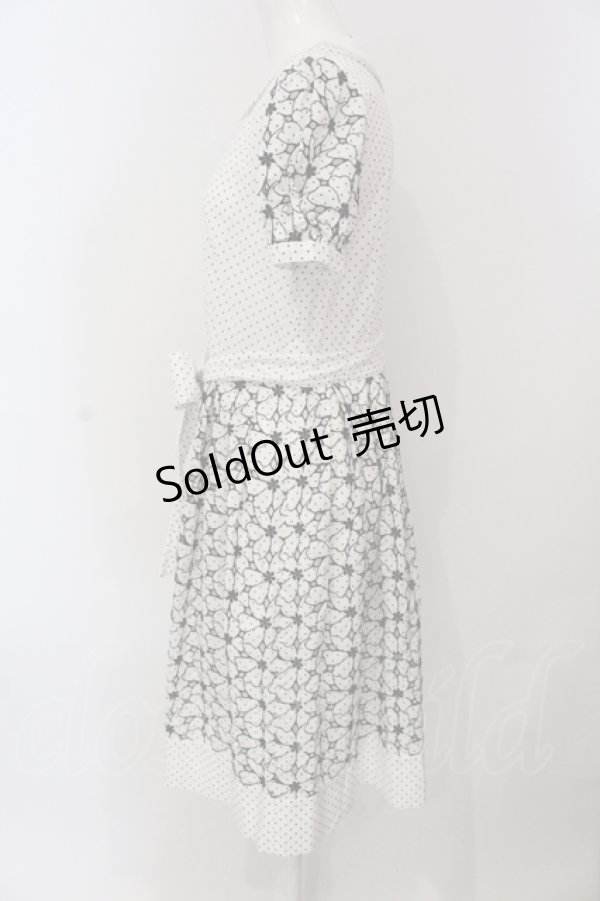画像2: Jane Marple / フラワードットレースのワンピース M シロ O-25-05-26-105-JM-OP-IG-OS (2)