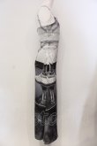 画像2: Melt the lady / glass dress　ワンピース F グレー系 O-25-05-26-113-PU-OP-OW-OS (2)
