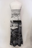 画像3: Melt the lady / glass dress　ワンピース F グレー系 O-25-05-26-113-PU-OP-OW-OS (3)