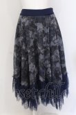 画像1: axes femme NOSTALGIE / チュールイレヘムスカート M ネイビー O-25-05-31-1066-AX-SK-OW-OS (1)