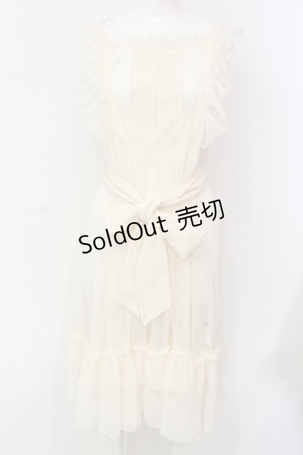画像1: axes femme kawaii / ドットチュールエプロン M キナリ O-25-06-12-079-AX-OP-OW-OS (1)