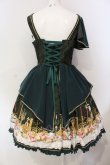 画像5: metamorphose / dim light holy ジャンパースカート（2016）  グリーン O-25-06-17-010-ME-OP-IG-OS (5)
