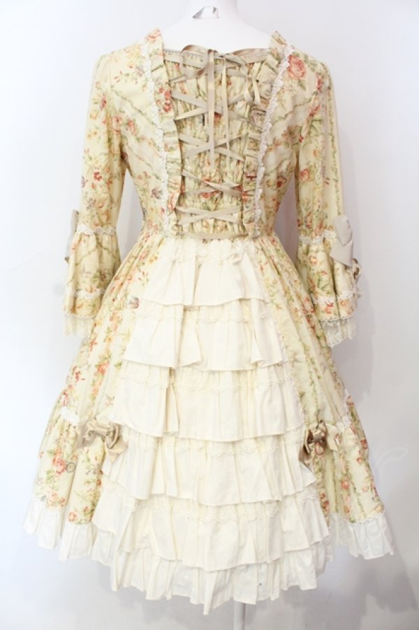 画像6: Angelic Pretty / Rosy Rose Princessワンピース . 生成り O-25-06-17-021-AP-OP-IG-OS (6)