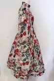 画像2: マダラニンゲン / Strange cherry and howl rabbit long dress ドレス  ピンク O-25-06-30-095-PU-OP-YM-OS (2)