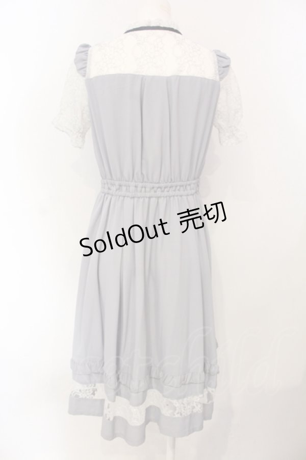画像3: axes femme POETIQUE / レースビスチェ切り替えワンピ  グレー O-25-07-05-069-AX-OP-IG-OS (3)