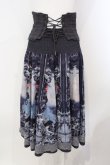 画像5: OZZ ANGELO / 絵画プリントコルセット付スカート  グレー×ブルー系 O-25-07-07-014-OO-SK-IG-ZY (5)