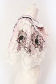 画像3: Royal Princess Alice / Rococo Rose Cat ケープ  ピンク O-25-07-12-090-LO-TO-OW-OS (3)