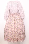 画像3: Jane Marple Dans Le Salon / Raining Rosebuds Gouacheレイヤードワンピース M ピンク O-25-07-27-051-JM-OP-OW-ZT464 (3)