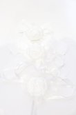 画像6: metamorphose / ローゼンメイデン　雪華綺晶イメージドレスセット  シロ O-25-07-29-043-ME-OP-IG-OS (6)