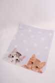 画像1: axes femme / ドット×ネコひんやりストール  サックス O-25-08-02-1024-AX-ZA-IG-OS (1)