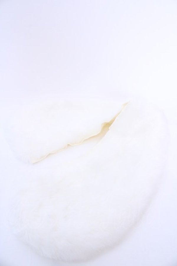 画像2: LOLITA他 / ファーティペット  シロ O-25-08-05-1022-LO-ZA-IG-ZT450 (2)