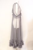 画像2: axes femme / レイヤード用チュールワンピース  グレー O-25-08-07-065-AX-OP-IG-ZT1104B (2)