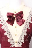 画像2: Amavel / Secret Rose Gardenワンピース F ワイン O-25-08-08-018-CA-OP-OW-OS (2)
