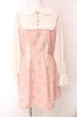 画像1: Swankiss / TS Lacy Fleur O/P  ピンク O-25-08-11-071-CA-OP-IG-ZY (1)