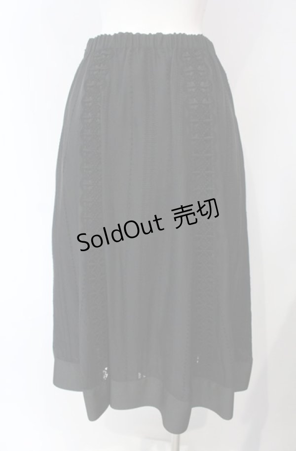 画像4: Jane Marple Dans Le Salon / Flower lace mix garden skirt M クロ O-25-08-13-047-JM-SK-IG-OS (4)