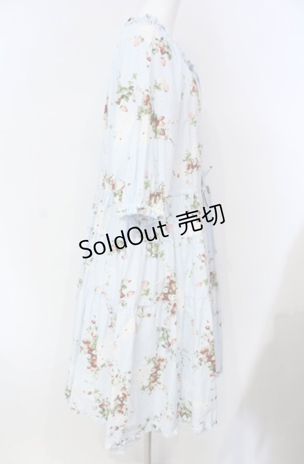 画像3: PINK HOUSE / 野いちごの森プリントミディワンピース  サックス O-25-08-13-056-LO-OP-IG-ZI (3)