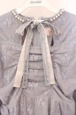 画像2: Swankiss / TS lady lacy O/P　ワンピース F サックス O-25-08-16-043-CA-OP-OW-OS (2)