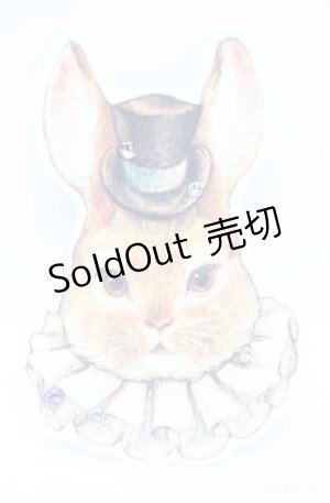 画像: Enchantlic Enchantilly / うさぎブローチ  オフ O-25-08-18-012-LO-AC-IG-OS
