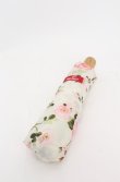 画像1: PINK HOUSE / 折りたたみ傘  アイボリー O-25-08-20-131-LO-ZA-OW-ZT487 (1)
