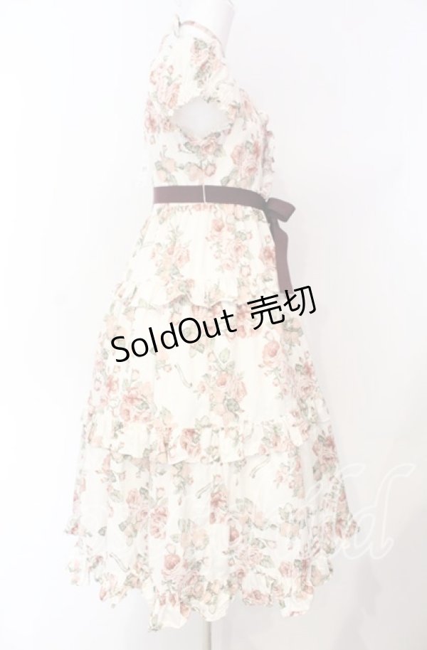 画像3: Victorian maiden / Afternoonベリーヘンリエッタドレス  ローズ O-25-08-26-065-CL-OP-OW-OS (3)