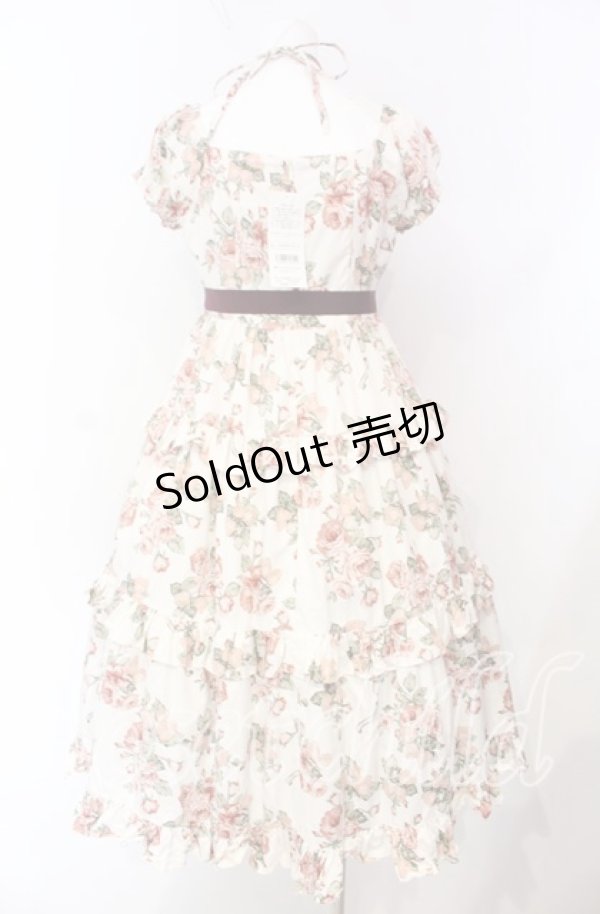 画像4: Victorian maiden / Afternoonベリーヘンリエッタドレス  ローズ O-25-08-26-065-CL-OP-OW-OS (4)