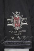 画像3: Amavel / Histoire Epeist レイヤードスカート F クロ O-25-09-04-1032-CA-SK-YM-OS (3)