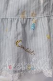 画像2: metamorphose / CL Sweet Shooting Starフリルスカート  シュガーサックス O-25-09-11-011-ME-SK-IG-OS (2)