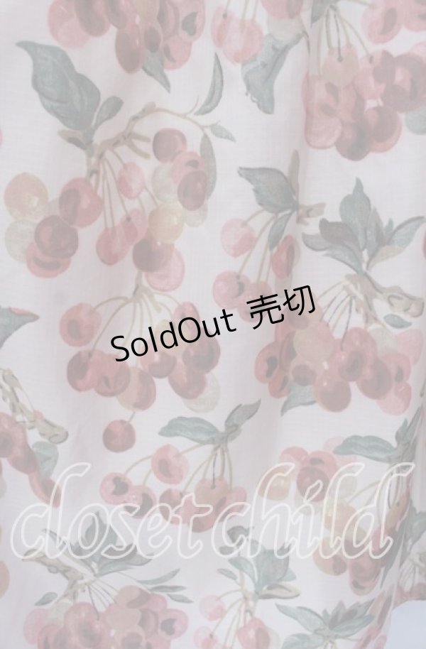 画像2: Jane Marple Dans Le Salon / Winter cherries panel skirt M ピンク系 O-25-09-13-067-JM-SK-IG-OS (2)