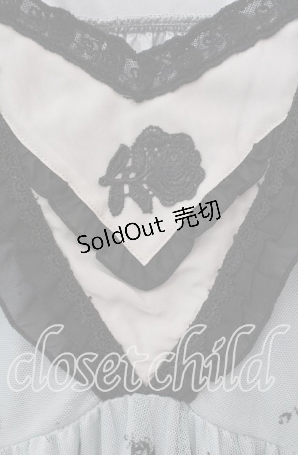 画像2: axes femme / チュールフロッキー切替ワンピース M グリーン O-25-09-15-059-AX-OP-OW-OS (2)