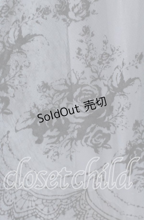 画像3: axes femme / チュールフロッキー切替ワンピース M グリーン O-25-09-15-059-AX-OP-OW-OS (3)