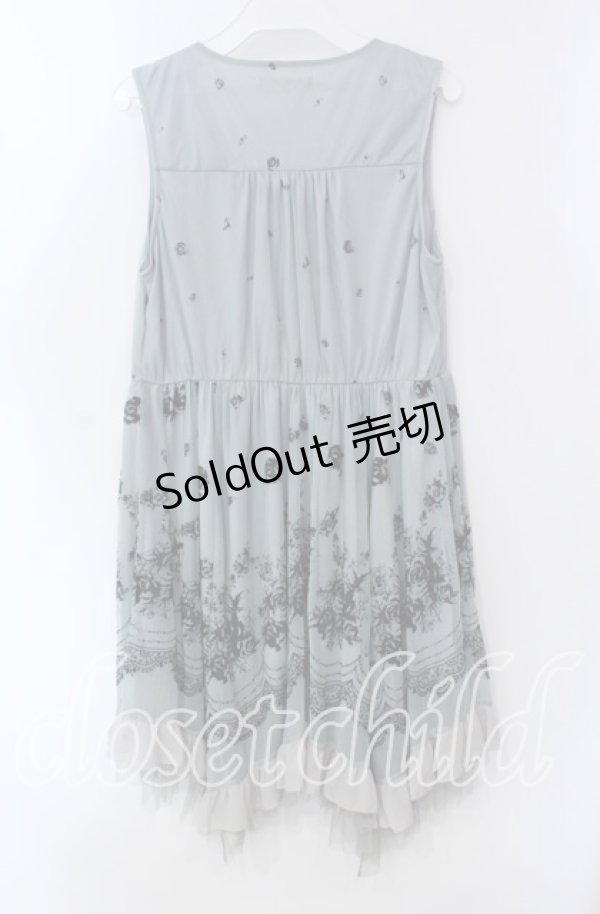 画像4: axes femme / チュールフロッキー切替ワンピース M グリーン O-25-09-15-059-AX-OP-OW-OS (4)